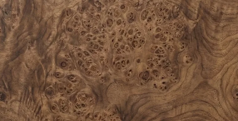 Venatura del Radica di noce — Juglans regia · radica