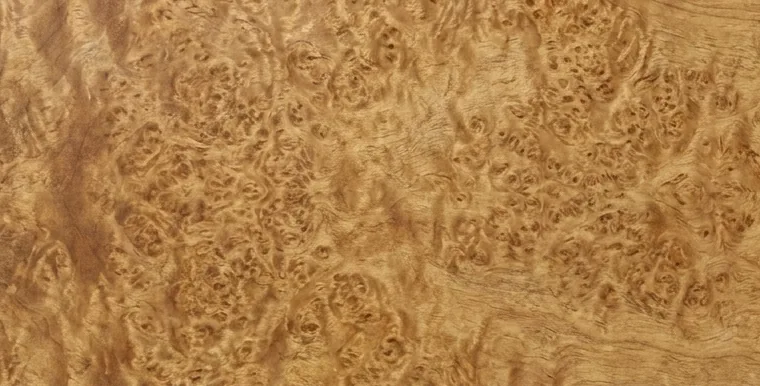 Venatura del Radica di tuia — Tetraclinis articulata · radica